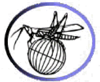 Orthopterist�s Soc.