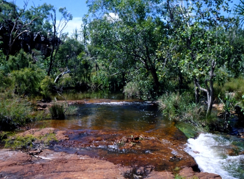 Creek