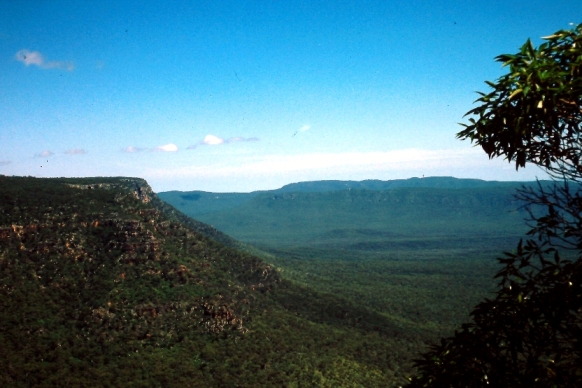 Blackdown Tableland