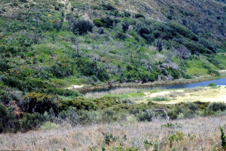 Cathrine Bay