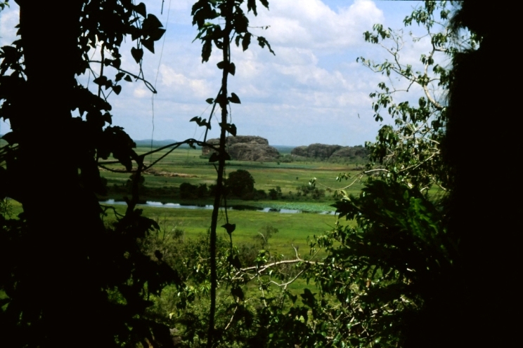 Kakadu