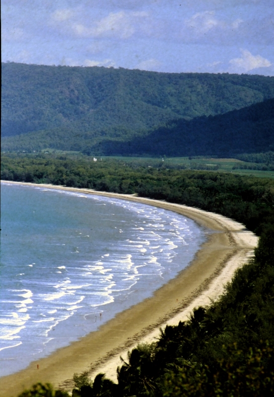 Tropischer Strand